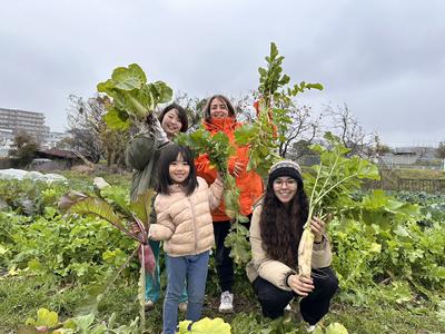 やくぜん酒場甘草 恵比寿店【053】のアルバイト写真