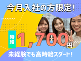 ≪携帯販売|家電量販店の販売スタッフ(auスマホコーナー)≫株式会社日本パーソナルビジネス 大阪本社(K12_1307)施のアルバイト写真