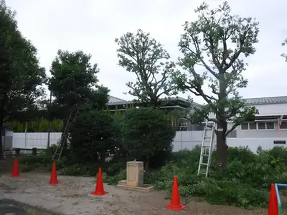 有限会社大熊園芸のアルバイト写真