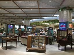 オプティックパリミキ グランツリー武蔵小杉店