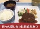 パーソルファクトリーパートナーズ株式会社【PY】05/A67-005730のアルバイト写真