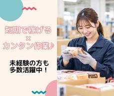 パーソルファクトリーパートナーズ株式会社 /S86-011241