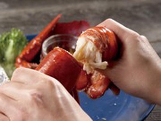 レッドロブスター 逗子店のアルバイト写真