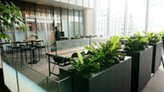 BLOSSOM & BOUQUET 秋葉原UDX店のアルバイト写真