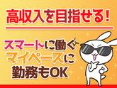 シンテイ警備株式会社 新橋支社 舞浜・浦安(千葉)・新浦安(8)エリア/A3203200143のアルバイト写真