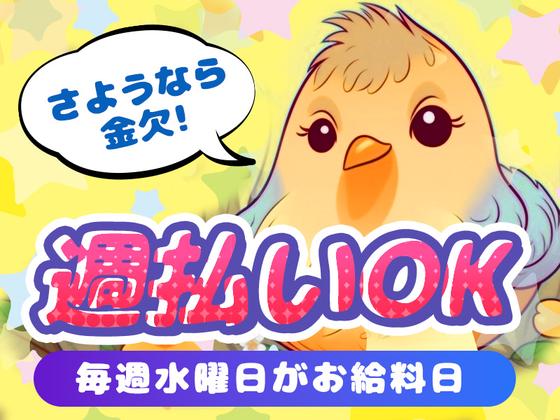 シンテイ警備株式会社 松戸支社 田原町(東京)・上野御徒町・入谷(東京)(50)エリア/A3203200113のアルバイト写真