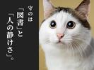 シンテイ警備株式会社 新橋支社 横浜(7)エリア/A3203200143のアルバイト写真