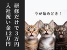 シンテイ警備株式会社 新橋支社 横浜(7)エリア/A3203200143のアルバイト写真