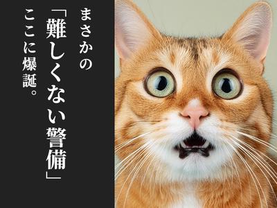 シンテイ警備株式会社 新橋支社 横浜(7)エリア/A3203200143のアルバイト写真