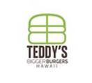 TEDDY'S BIGGER BURGERS ピエリ守山店のアルバイト写真