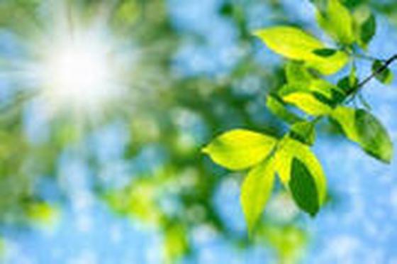 ハリーズカフェ 福山店のアルバイト写真