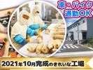 株式会社セントラルフーズ 狭山工場【202506】長期/品質管理事務スタッフのアルバイト写真