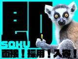 株式会社ユニオン ※葛飾区エリア(11)のアルバイト写真