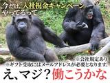 UTエージェント株式会社(関東CS_さいたま・京浜AU)《AURTA》URT大山(東京)エリア_Kのアルバイト写真