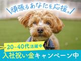 UTエージェント株式会社(関東CS_つくば・水戸AU)《AURMA》URM_小木津エリア_Kのアルバイト写真