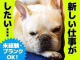 UTエージェント株式会社(関西北陸CS_大阪AU)《JMUD1C》MUD1のアルバイト写真