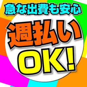 株式会社ワールドスタッフィングHS事業部/0063733_56753-00のアルバイト写真