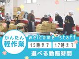 株式会社ヤバケイ 森本出荷19のアルバイト写真