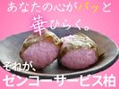 株式会社ゼンコ―サービス柏支社_プライベート充実_川間エリアのアルバイト写真