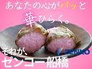 株式会社ゼンコー 船橋支社_プライベート両立_ユーカリが丘エリアのアルバイト写真