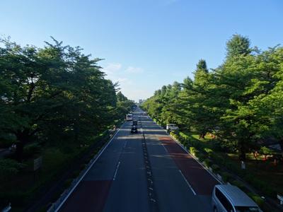 開放的で綺麗なオフィス!