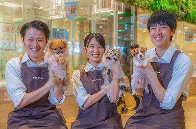 募集中 ペットプラス ナゴヤドーム前店 フリーター 業界未経験 未経験者歓迎 大好きな子犬 子猫に囲まれる仕事 販売 愛知県名古屋市東区矢田南 大曽根駅 アルバイトex 求人id