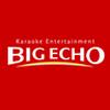 BIG ECHO 宮崎フェニックスガーデン店　都農エリア　夜勤のロゴ