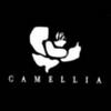 CLUB CAMELLIAのロゴ