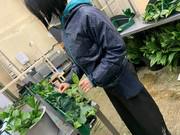 株式会社花芳商店 ヒューネラル部門 川崎市のアルバイト パート求人情報 時給1 100円 正社員登用あり 社会保険制度あり Dジョブ