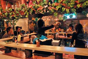 石垣島のCAFE&BAR キジムナーの台所のアルバイト写真
