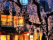 京都祇園　SHETLAND（シェトラン）のアルバイト写真(メイン)