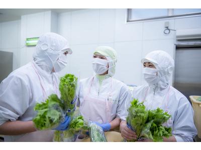新宿区西早稲田 学校給食 調理補助【パート】(13032)のアルバイト