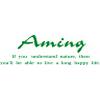 アミング 小松店のロゴ