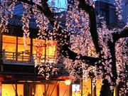 京都祇園クラブ SHETLAND（シェトラン）ホールstaffのアルバイト小写真1