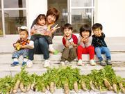 HITO KIDS保育園(早番パート)/KWJ984のアルバイト写真3