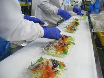 利恵産業◆お惣菜の製造staff◆平塚工場勤務(002)のアルバイト