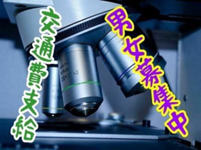 【人気案件多数】選択肢の幅が広がるから楽しい♪