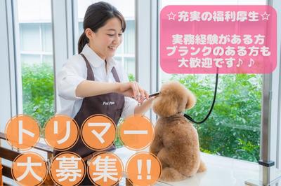 ペットプラストリミングサロン 相鉄ライフ緑園都市店 ペットショップスタッフ 横浜市泉区 求人id のバイト アルバイト の求人情報 アルバイトex