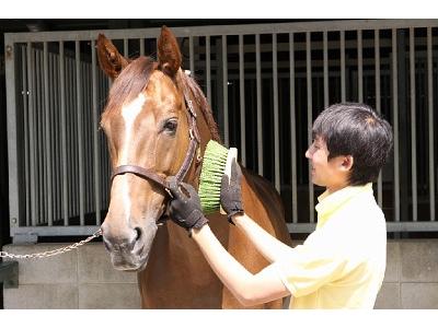 乗馬クラブクレイン 東広島のアルバイト