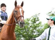 乗馬クラブクレイン 東広島のアルバイト写真1