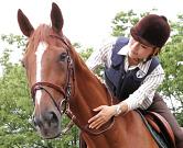乗馬クラブクレイン 東広島のアルバイト写真3