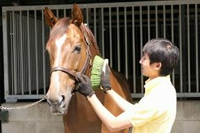 乗馬クラブクレイン大阪のアルバイト写真