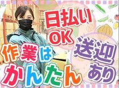 ナッシュ株式会社 物流センター(桜島)(夜間勤務)(中之島エリア)【2】のアルバイト