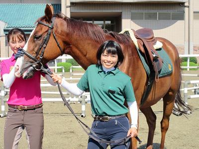 〈馬好き必見〉可愛い馬とたくさん触れ合います。