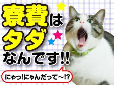 《スピード採用》応募後に、登録会へお越しください♪