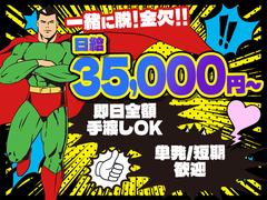 エースパワー株式会社　　葛飾エリア　　池袋本社のアルバイト
