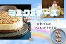 グランスタ東京＊ミルク＆チーズスイーツ販売（株式会社アクトプラス販売事業部）/aphl6586のアルバイト写真