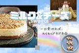 グランスタ東京＊ミルク＆チーズスイーツ販売（株式会社アクトプラス販売事業部）/aphl6586のアルバイト写真
