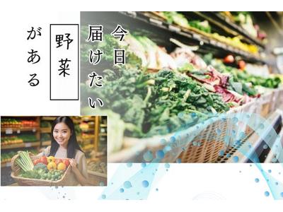 ときわ台スーパー＊青果担当（株式会社アクトプラス販売事業部）/aphl6479のアルバイト