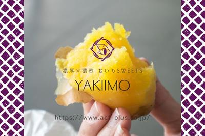 土浦＊熟成焼き芋＆スイーツ販売（株式会社アクトプラス販売事業部）/aphl4376のアルバイト写真
